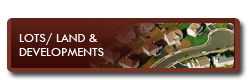 Lots / Land & Developments